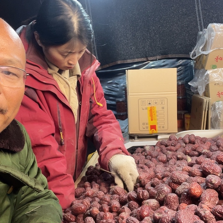 快***机和田大枣红枣树苗