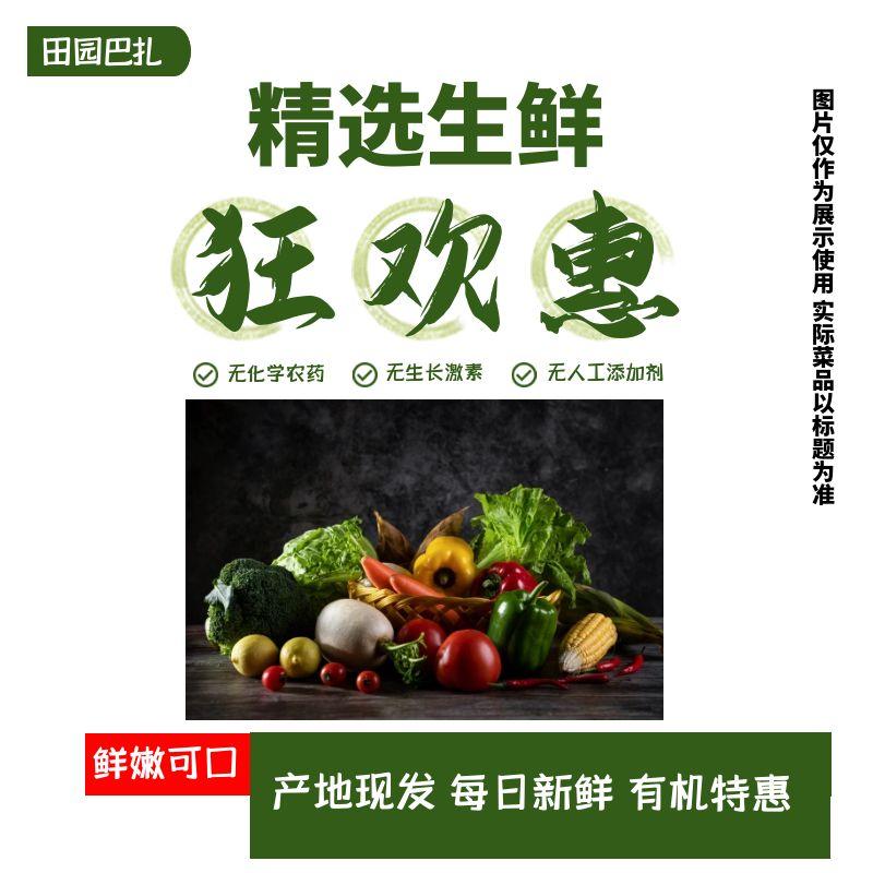 【有机特惠】丝瓜300g+木耳菜300g