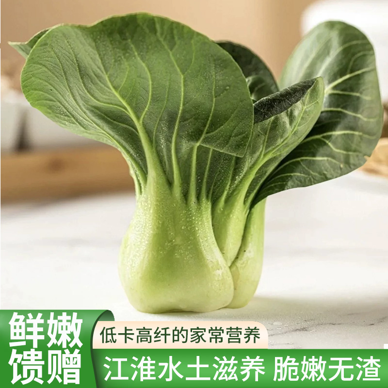 苏北苏州青农家露天新鲜包邮霜冻时令绿叶蔬菜现摘现发小油菜软糯