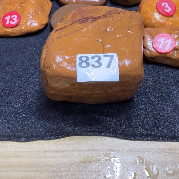 阆***狼香榧木木头人的生活习性第三讲