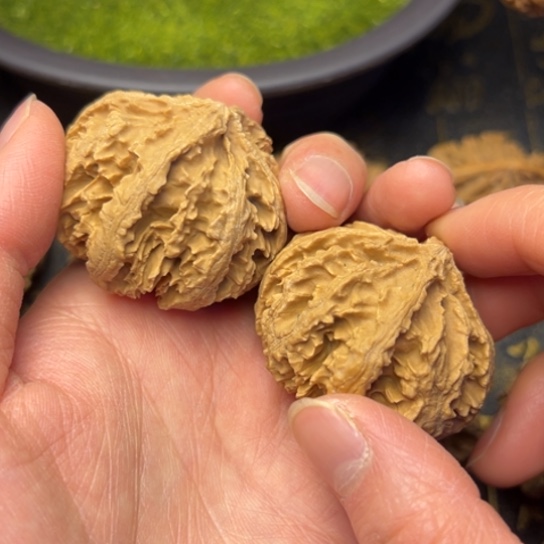 文玩核桃把件秦岭核桃8
