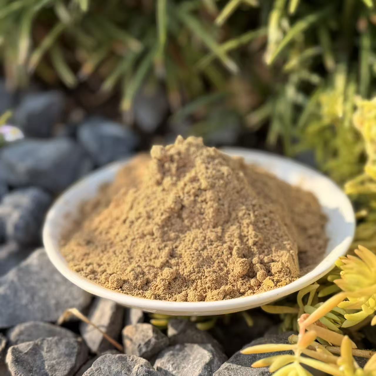 女贞子香粉 房间熏香 客厅香薰