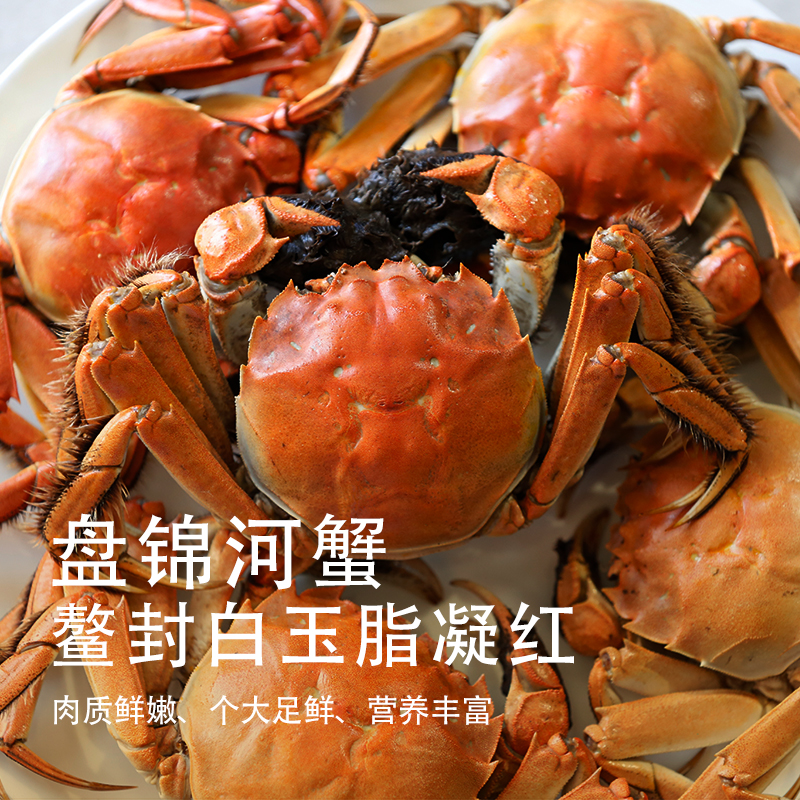 【活蟹】辽宁盘锦河蟹 1.3-1两 全母蟹2斤/3斤 死蟹包赔 礼盒装