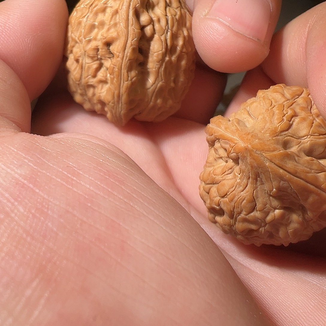 万***力猴头核桃吊坠文玩