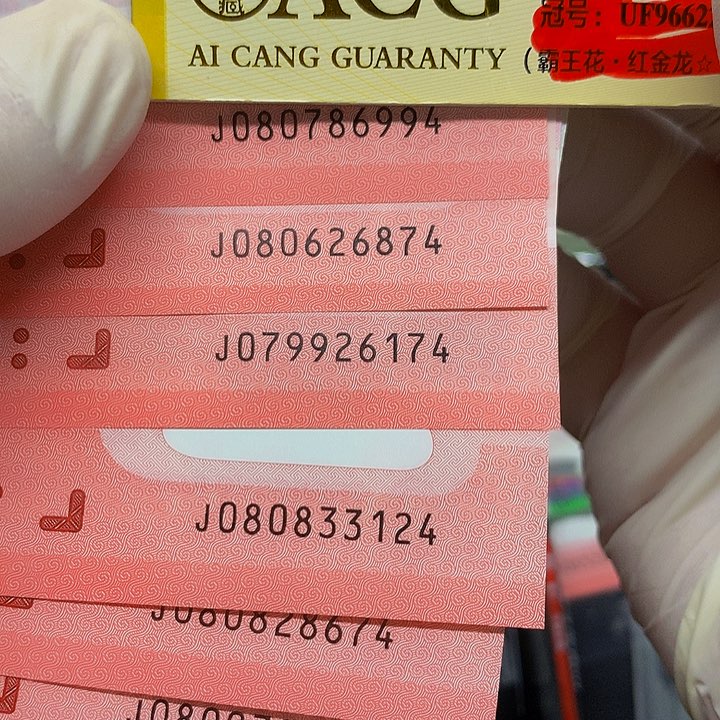 塑料6张不挑号随机发带4            