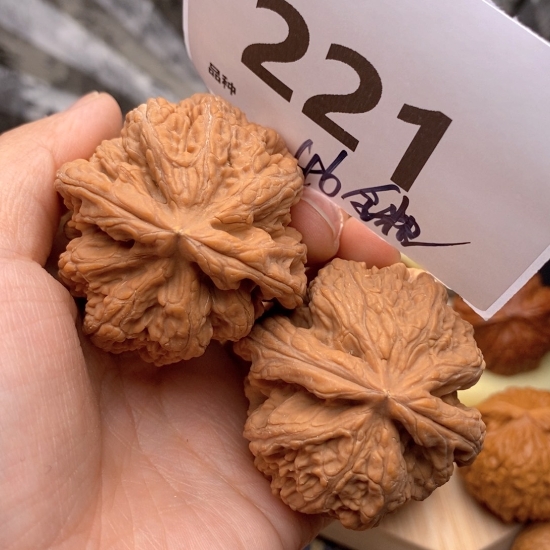 文玩核桃把件221号46粗筋全