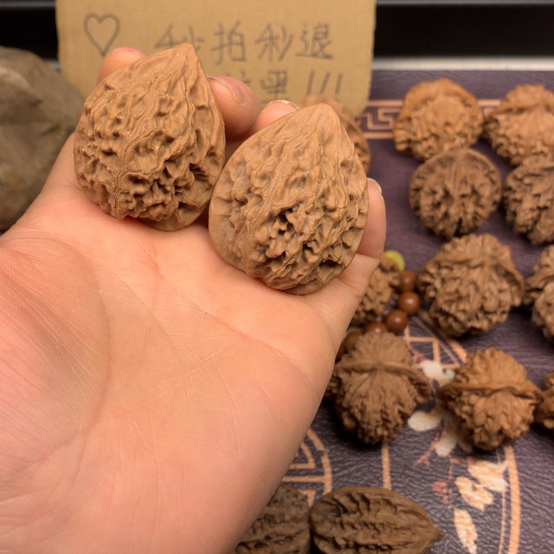 秦岭的森林里是什么