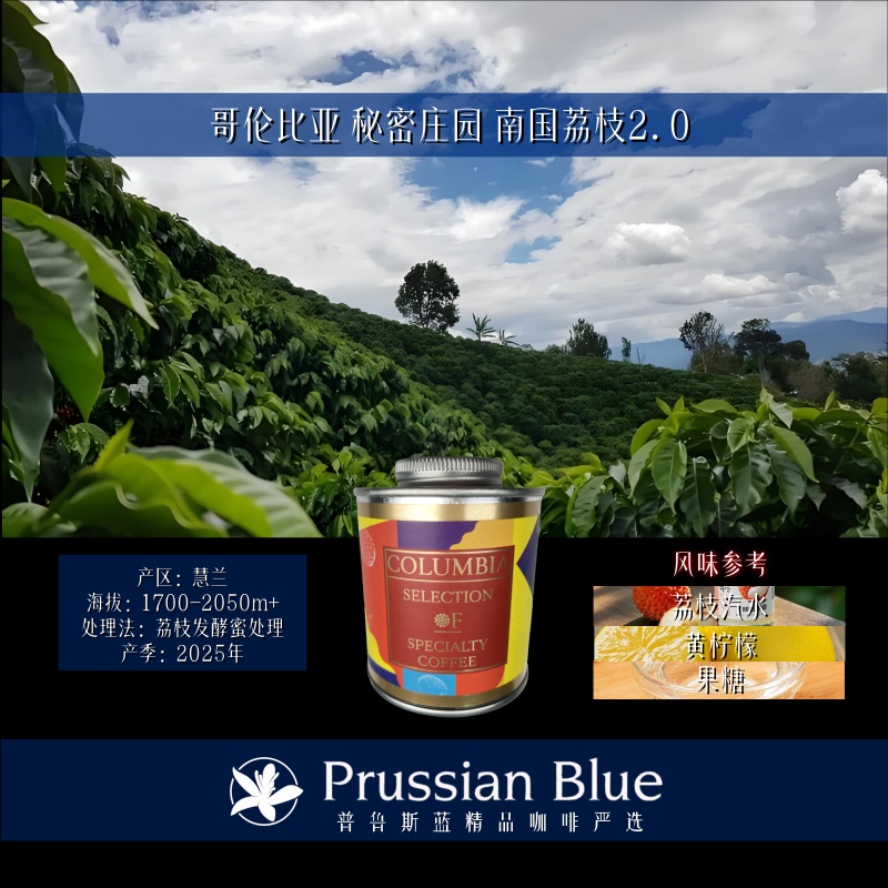 <南国荔枝2.0>哥伦比亚.秘密庄园.荔枝发酵蜜处理.精品咖啡豆