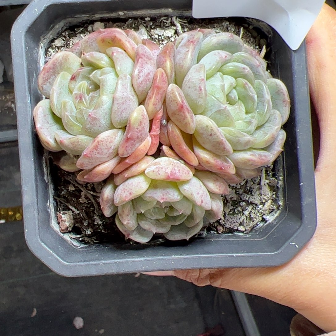 034 满38元包邮一物一拍满38元包邮