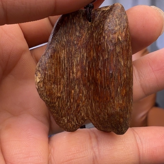 沉香吊坠香港虫漏野料一个5.7克