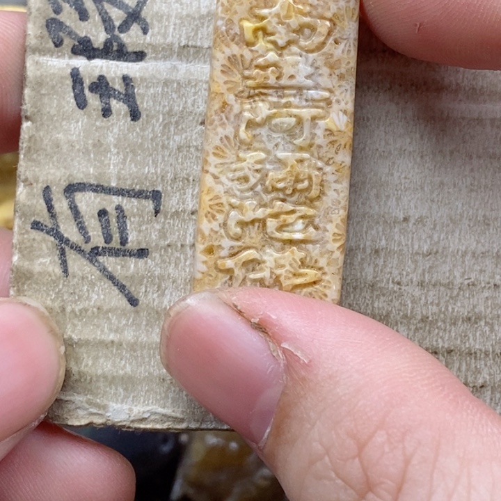 颈饰未镶嵌硅化珊瑚（珊瑚玉）用****1