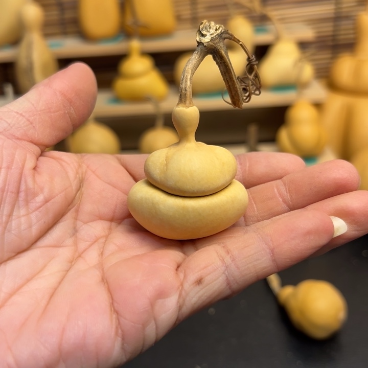 小****?葫芦葫芦葫芦葫芦葫芦葫芦