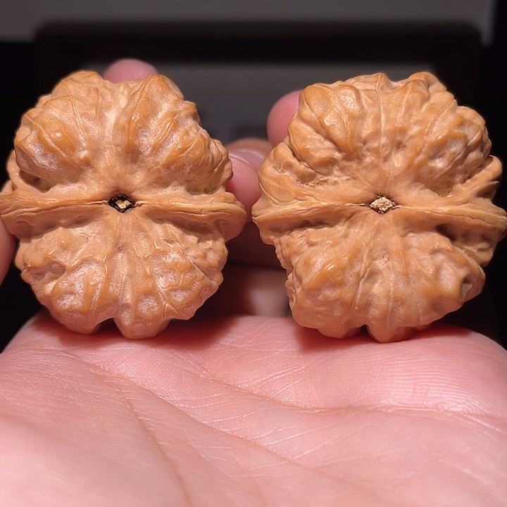 曉***）手串/手链核桃蛤蟆头 