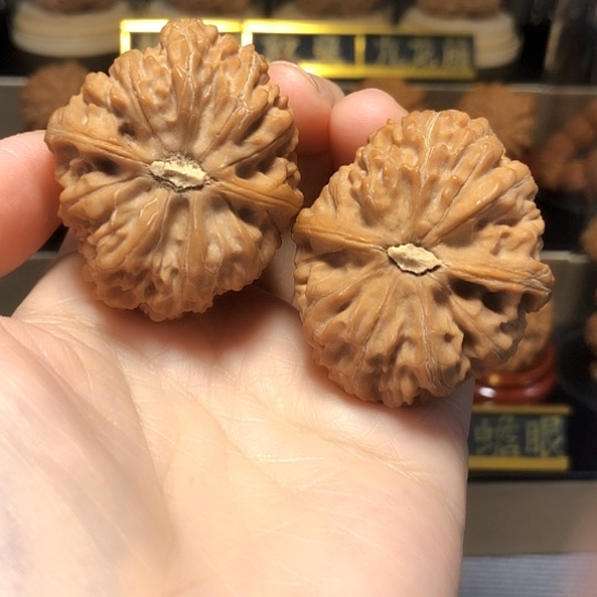 精品高端品：霸王鼎