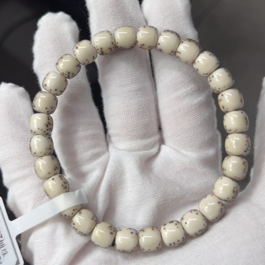 星月菩提吊坠8/7河豚半壁江山超大留白