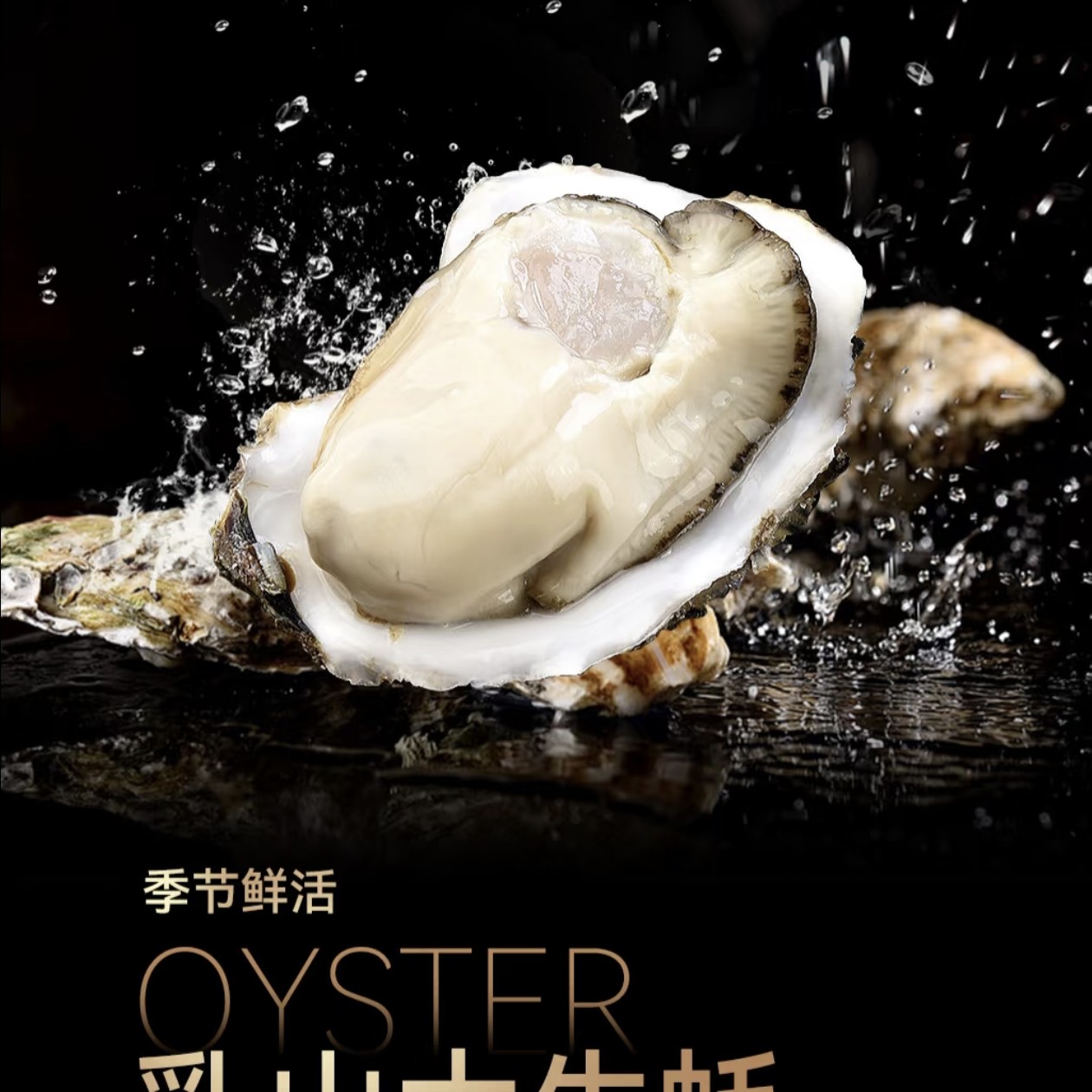 【买五斤赠二斤】3+乳山生蚝7斤