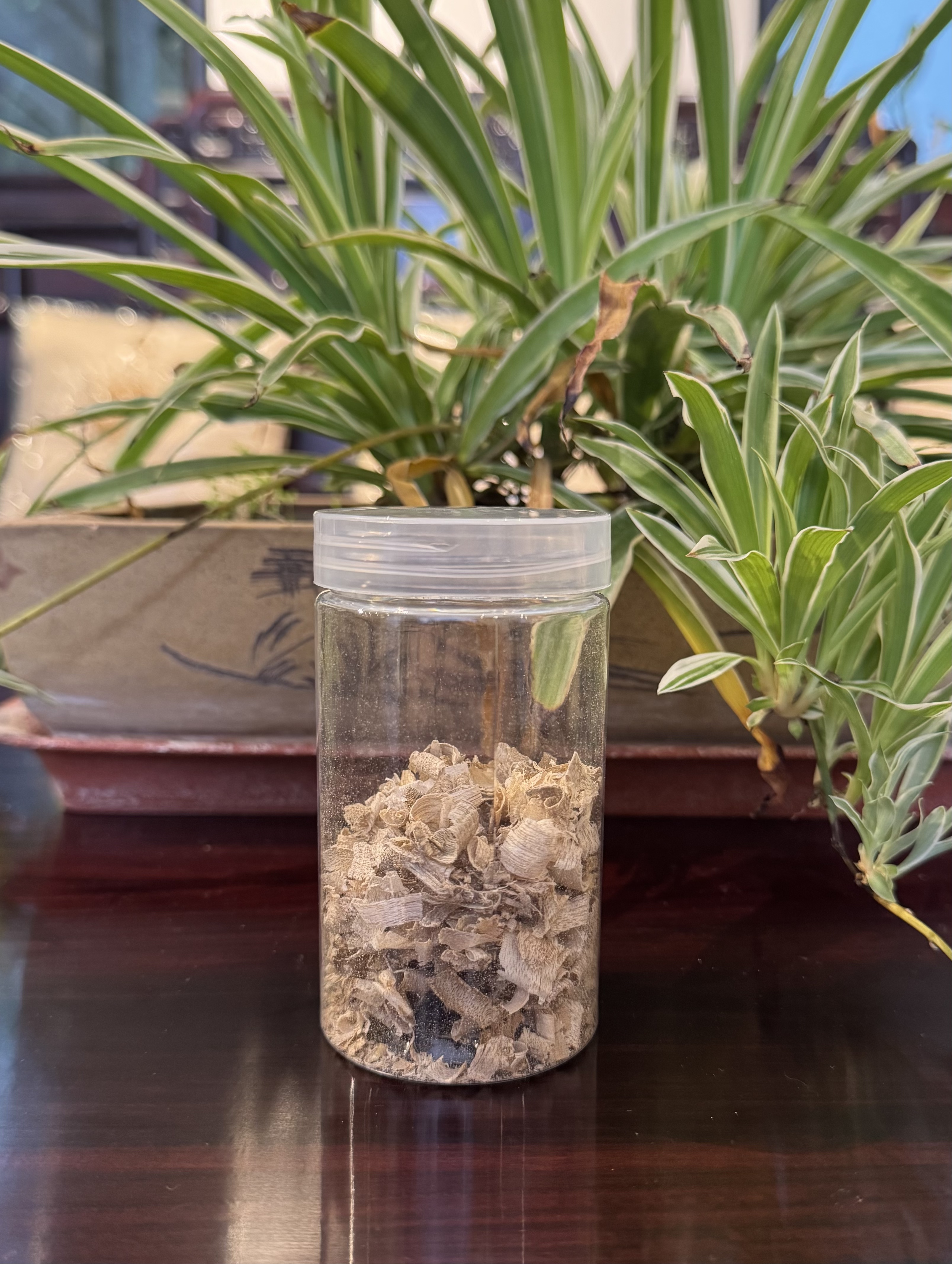 沉香DM3B(鼎升大小姐优选)碎屑（随型料发任其一）