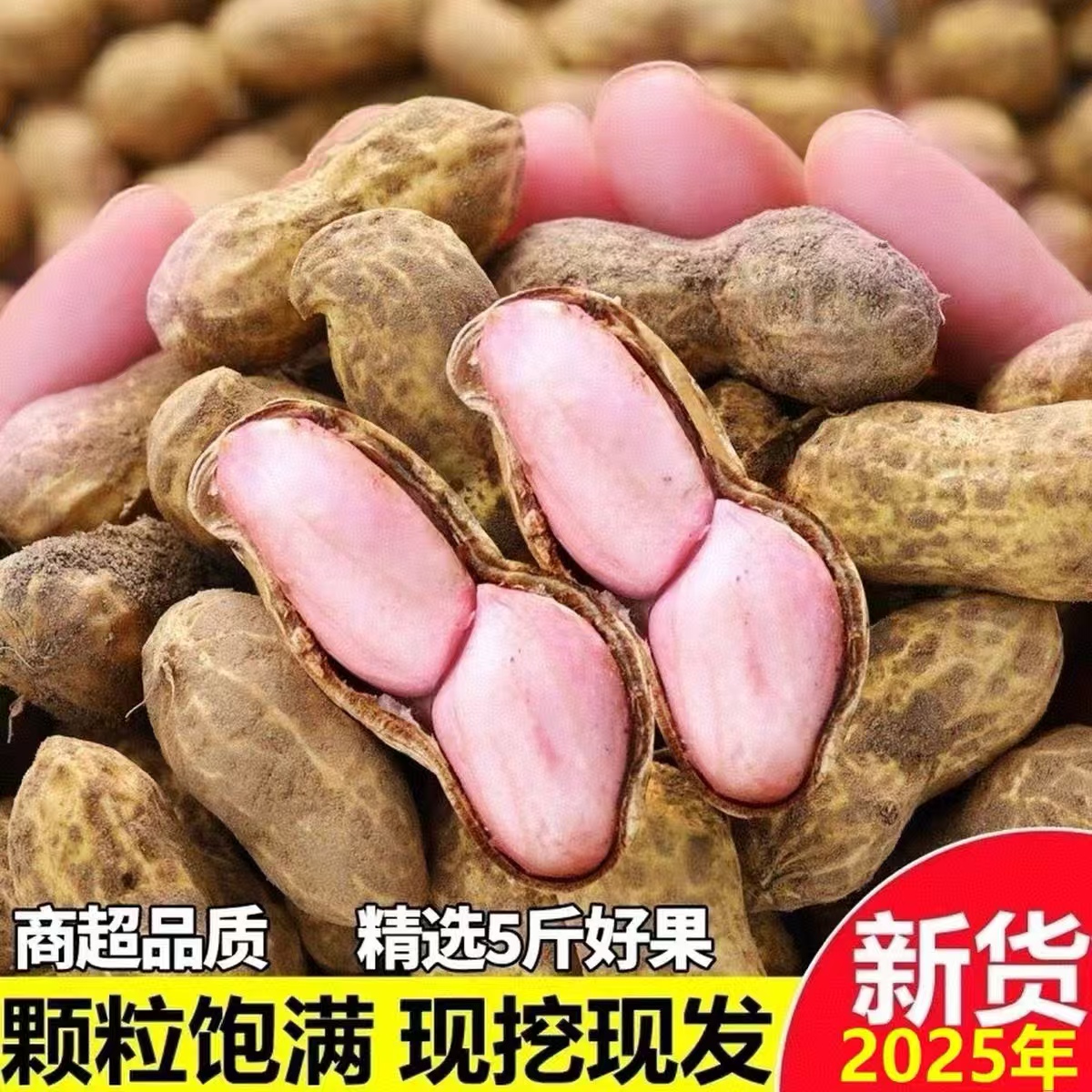 2025现挖新鲜花生