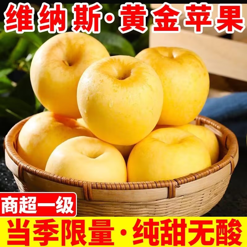 【头茬新果】烟台黄金奶油富士维纳斯苹果脆甜多汁新鲜水果产地直发