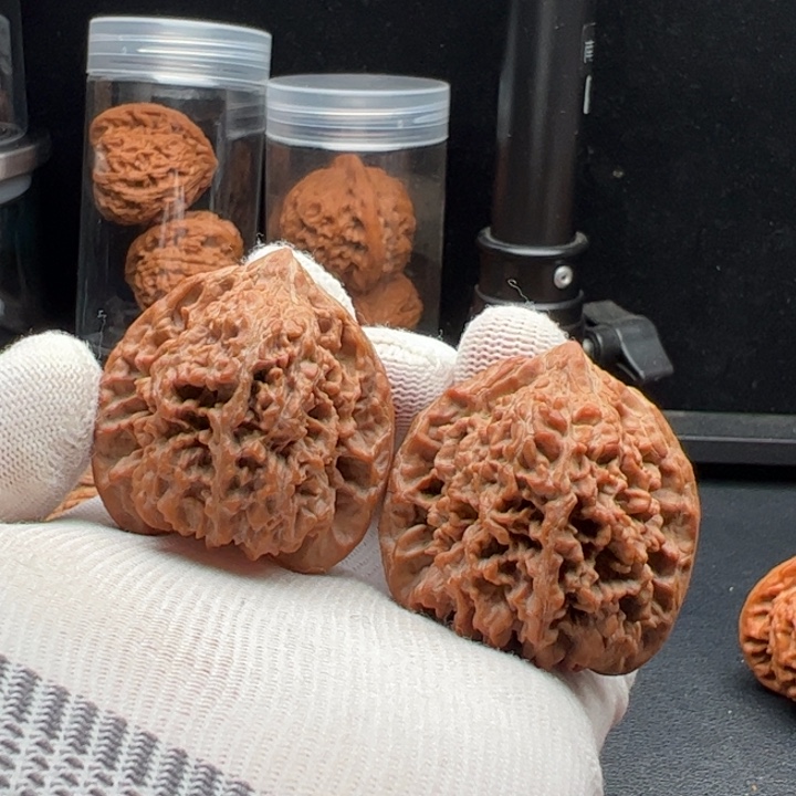 文玩核桃把件开***王42满天星