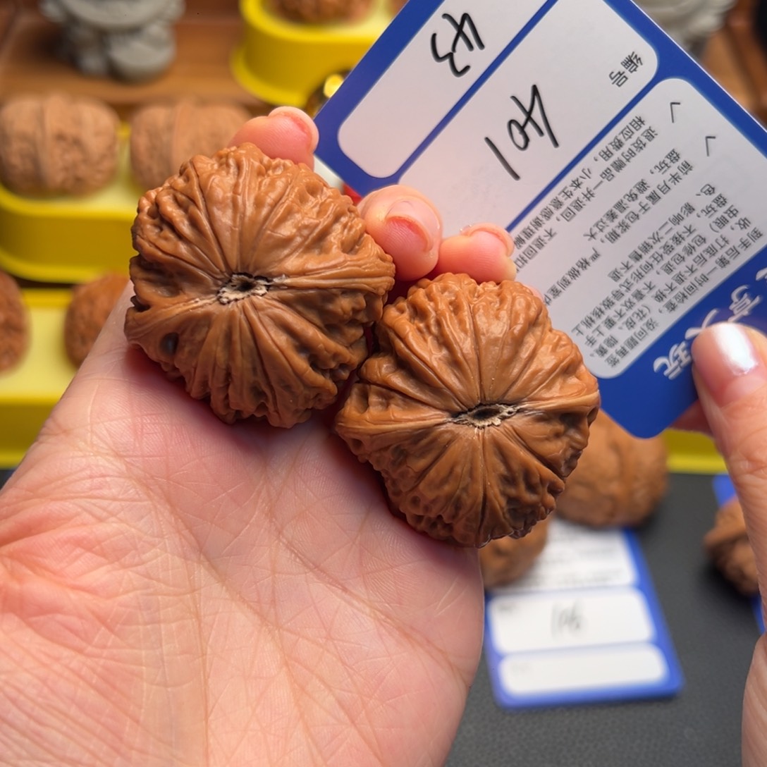 衡***柔核桃401铁锤妹妹 