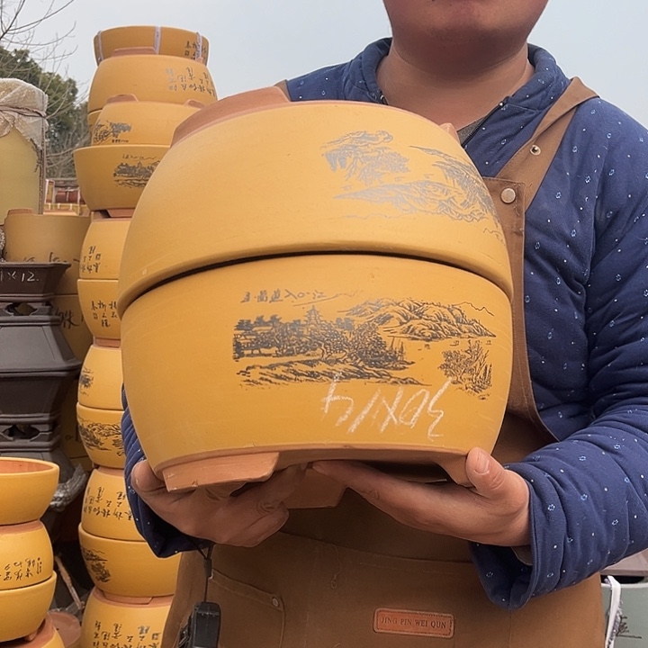 紫砂紫砂花盆盆栽