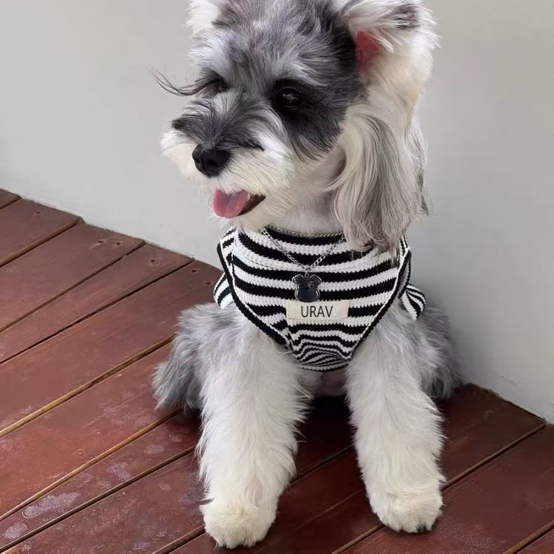 宠物狗衣服春夏薄款防掉毛可爱条纹衫背心小型幼犬泰迪雪纳瑞TTT