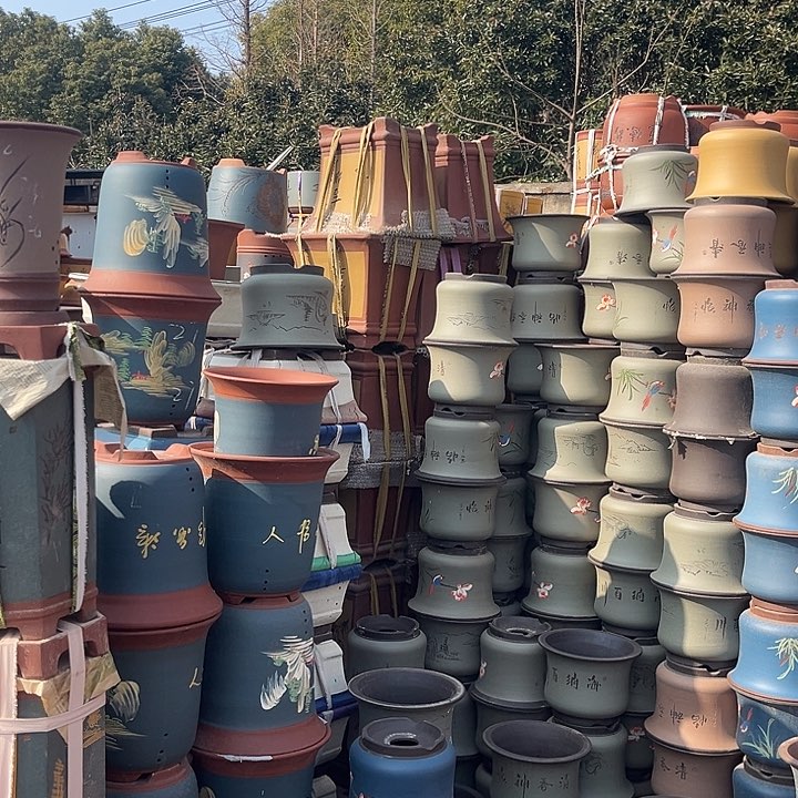 紫砂紫砂花盆盆栽