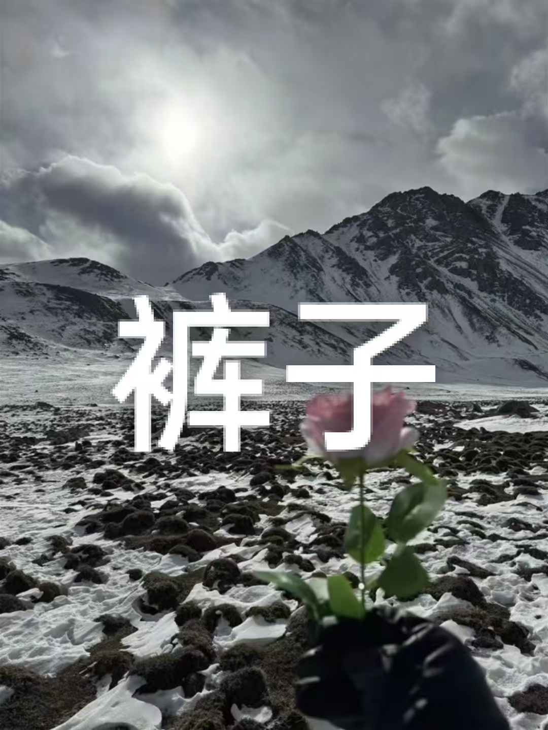 2025男士新款小太阳T9户外速干短裤【奥】