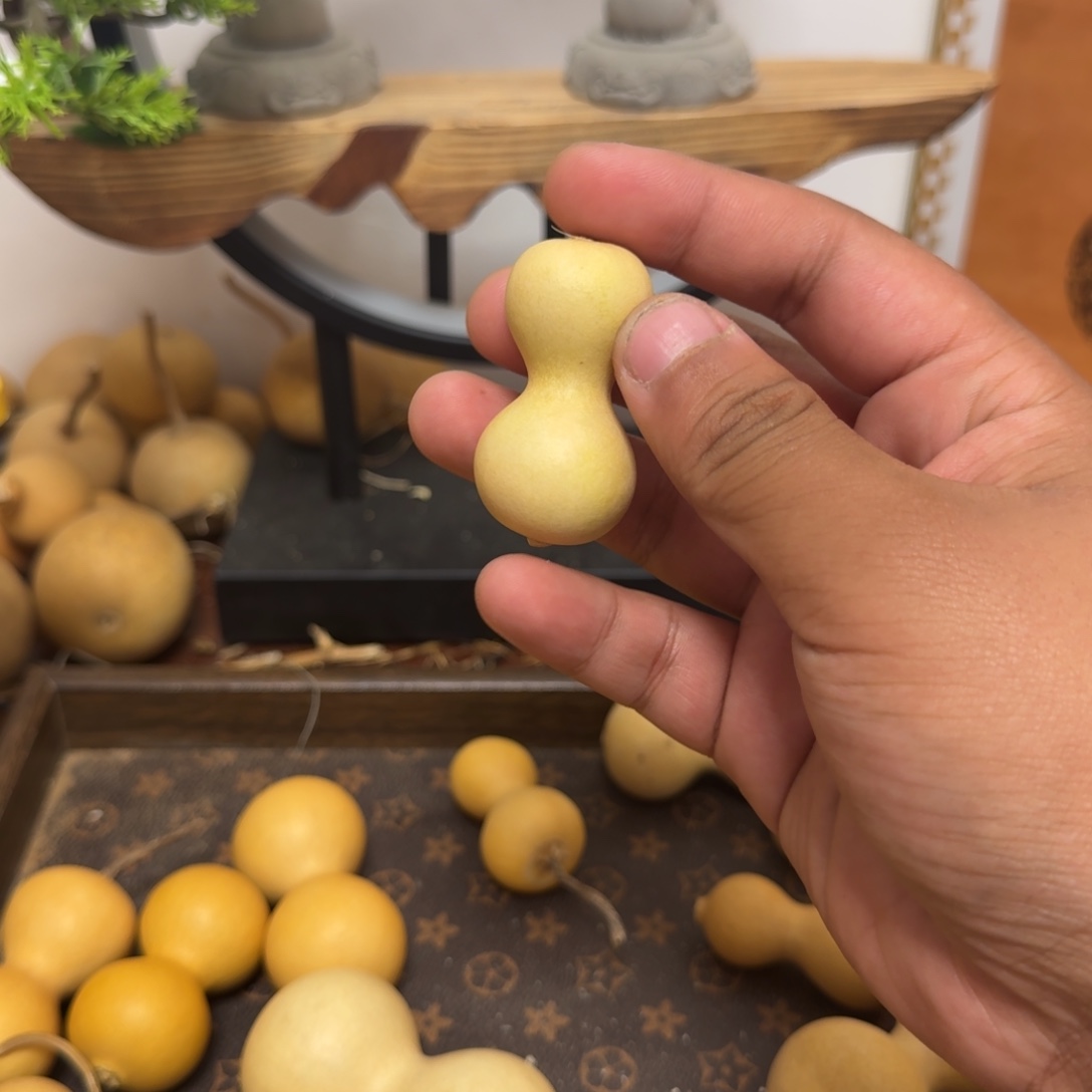 葫芦骨头绕指骨头