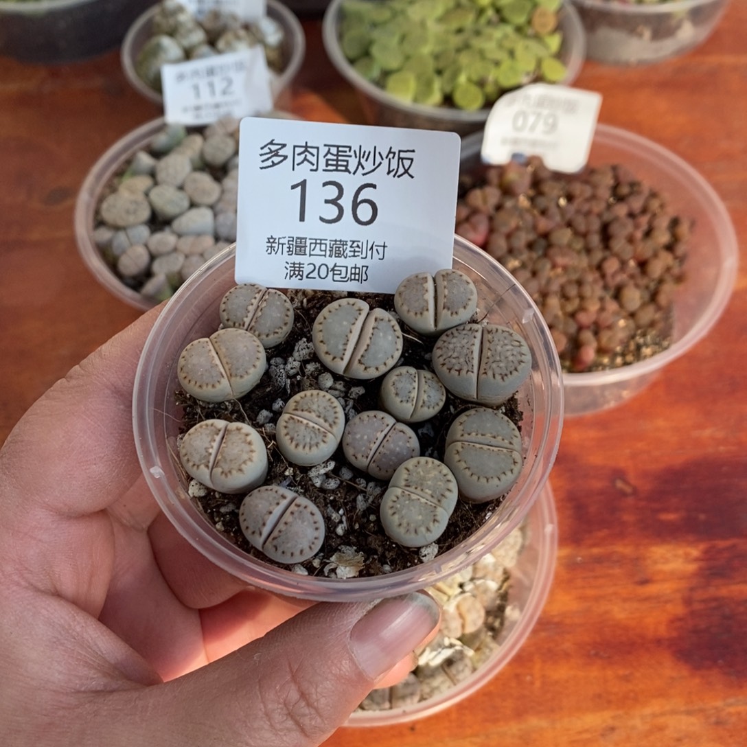 感谢您的支持，00136