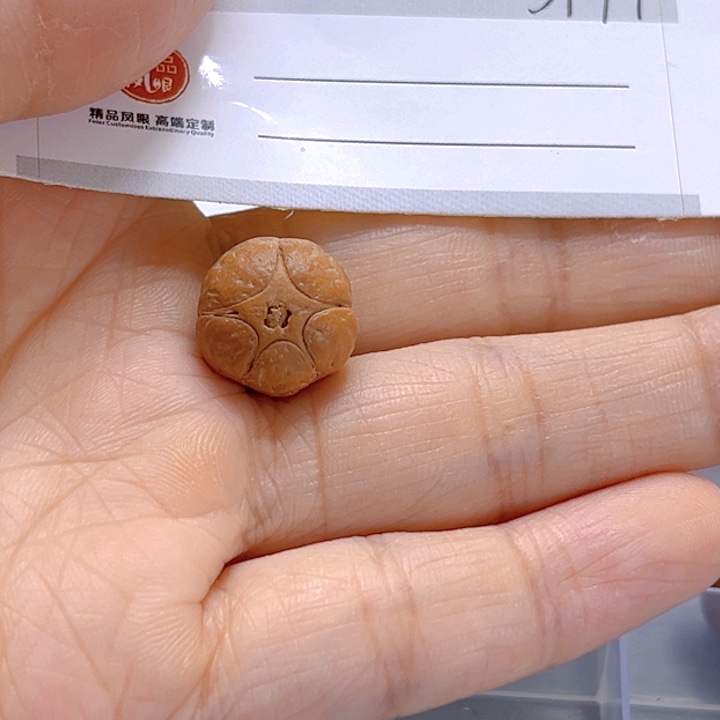 吊坠凤眼菩提14微瑕五星81@3179