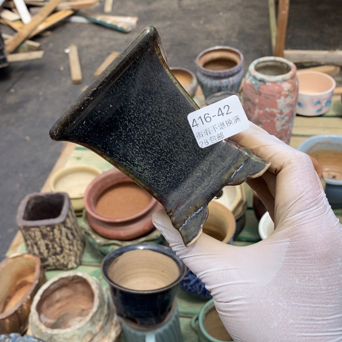 嗨**子42号多肉盆一个呀