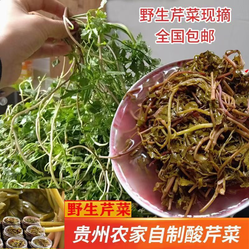 贵州酸芹菜新鲜野生细叶芹水芹特色无盐酸菜豆米食用蔬菜火锅食材