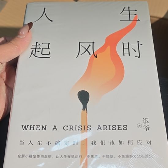 人生起风时平装库存书饭爷