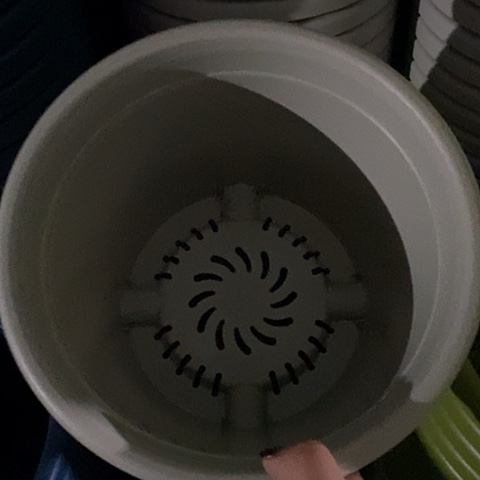 树脂四季4号灰白无托8个微瑕