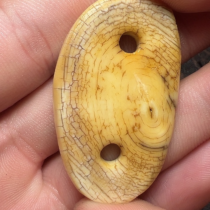 我们都是在这里看到的哈