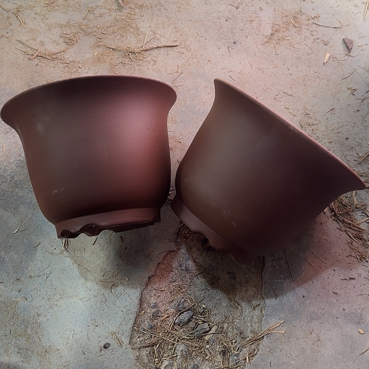 20×15两只福利价     