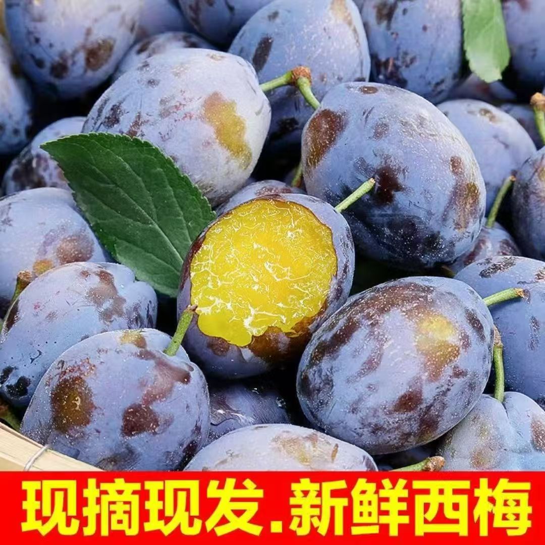 【头茬鲜果】新鲜现摘西梅香甜多汁当季水果放软更好吃产地直发Z