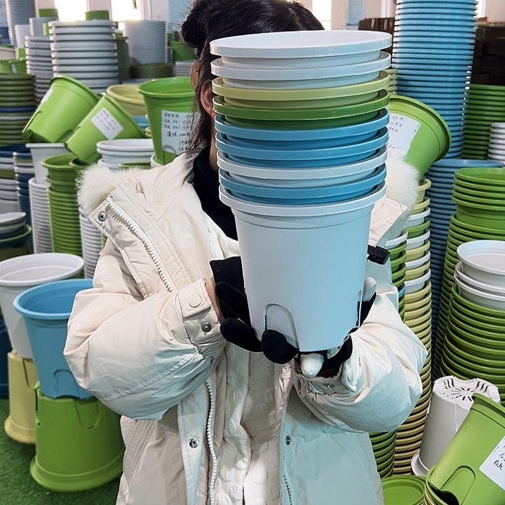 正品圆控根口15高15白色无托10个