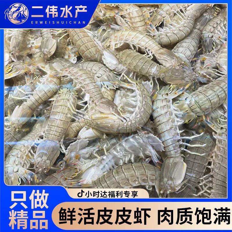 断氧皮皮虾89三斤包邮 大号