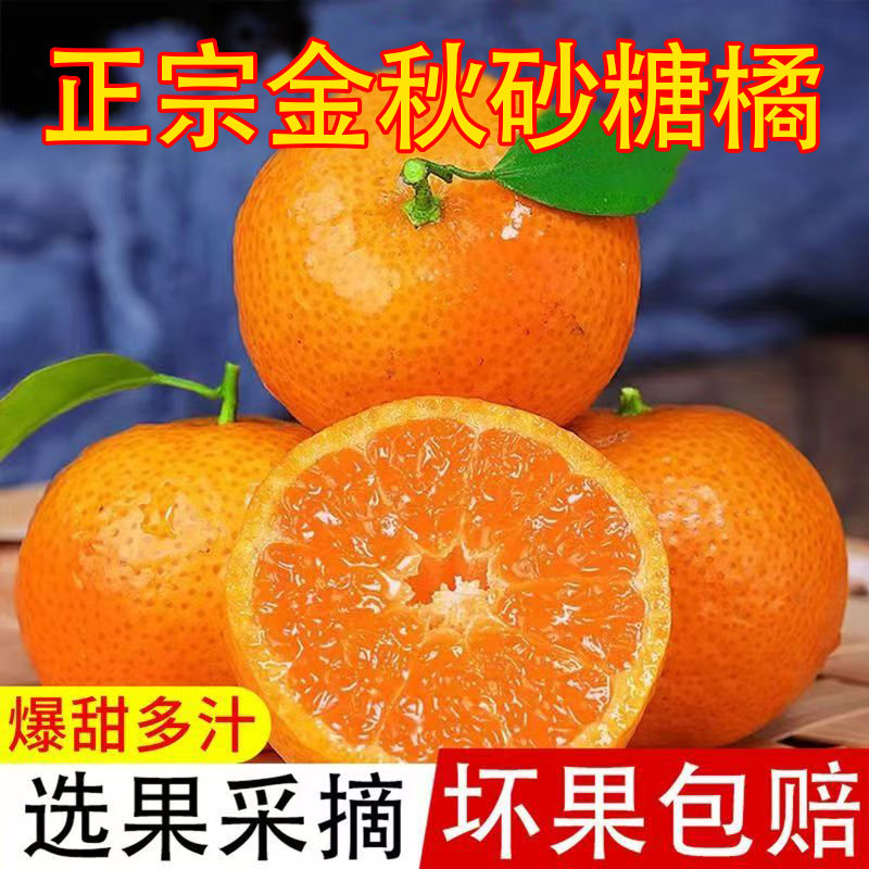广西桂林金秋砂糖桔子蜜橘应季新鲜水果产地直发爆甜多汁