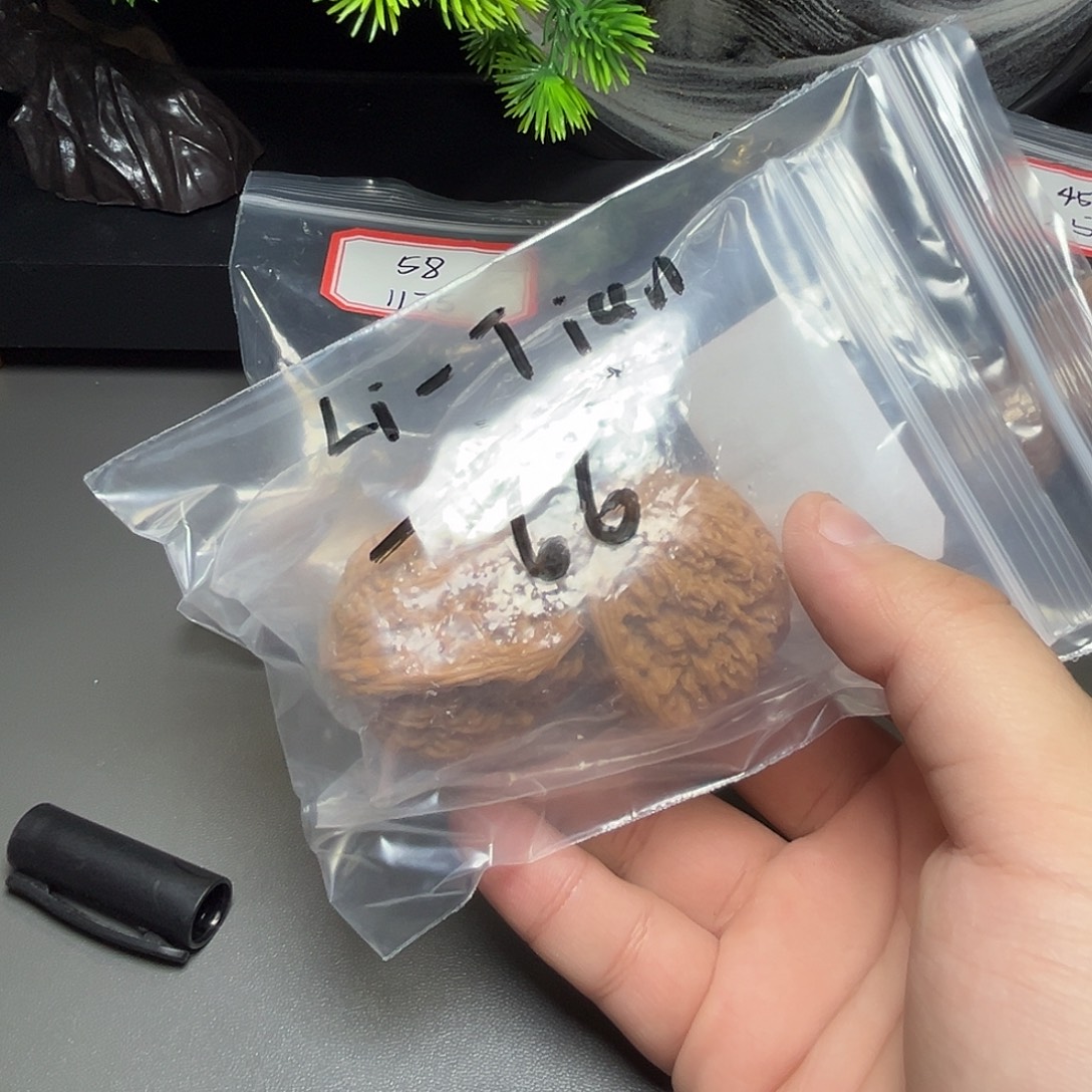 L***。南疆。            