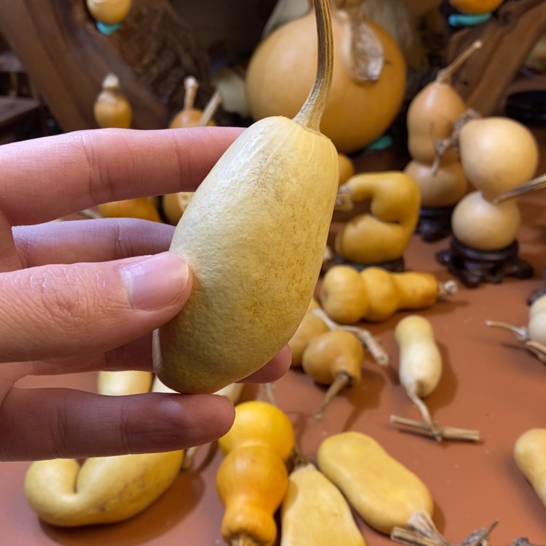 静***艺教练教练教练教练经理