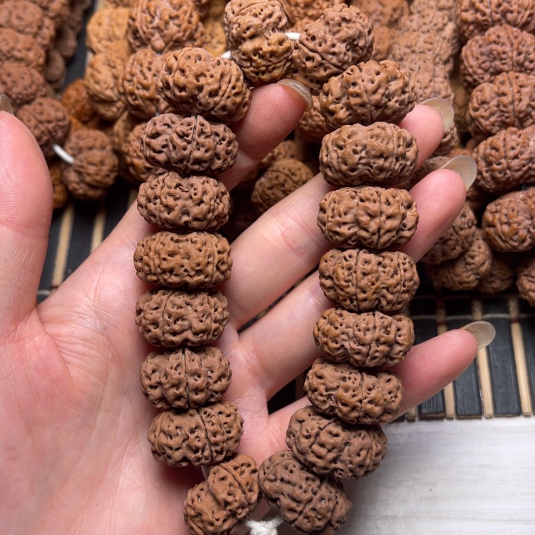 菩提23号金刚菩提梅花夹板23