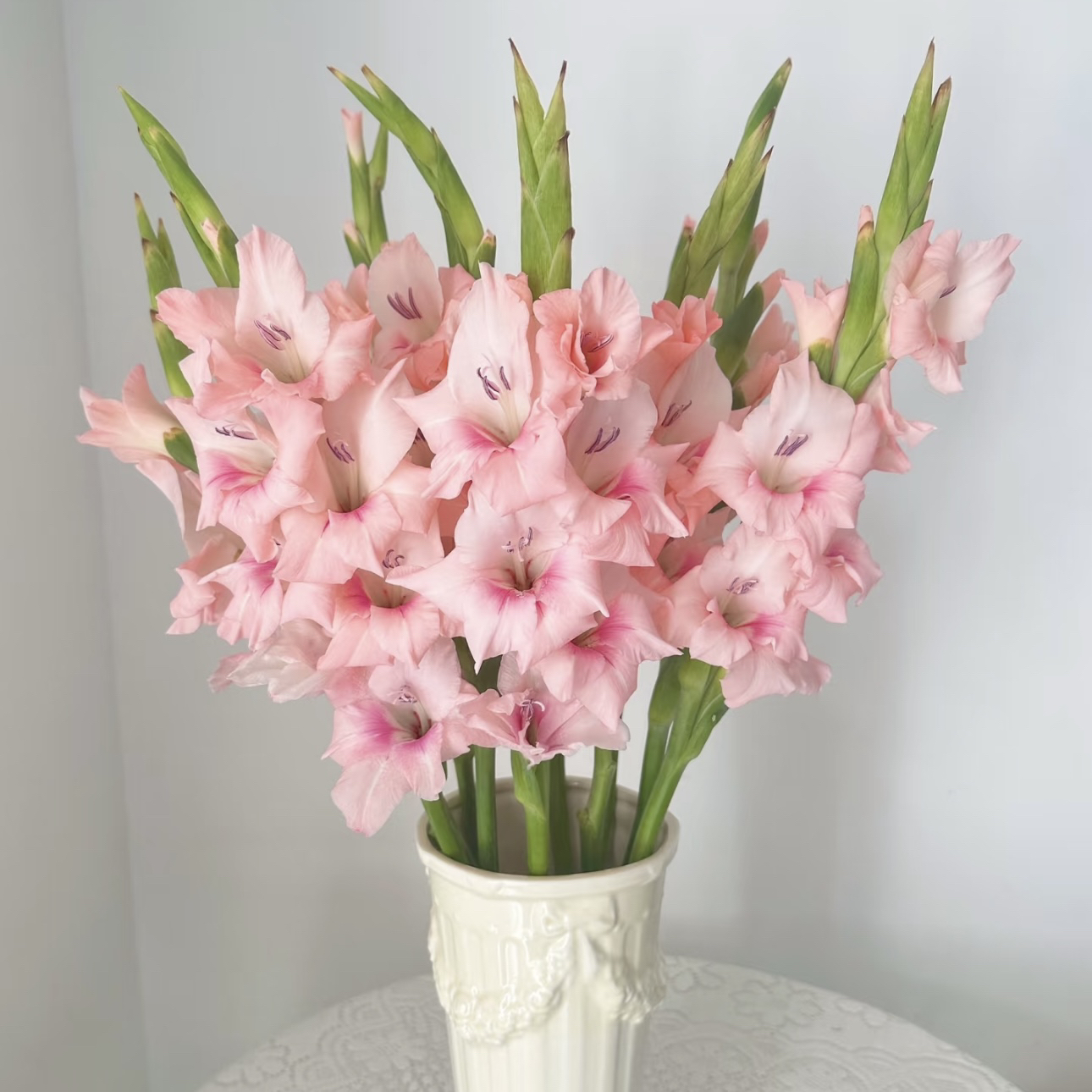 【杨鹏鲜花】阿迪娜 剑兰 云南鲜花包邮生花苞发货