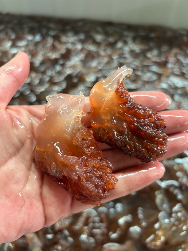 海蜇头3角净重3斤