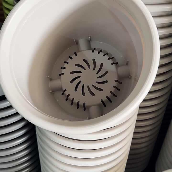 四季6号灰白无托7个特价微瑕