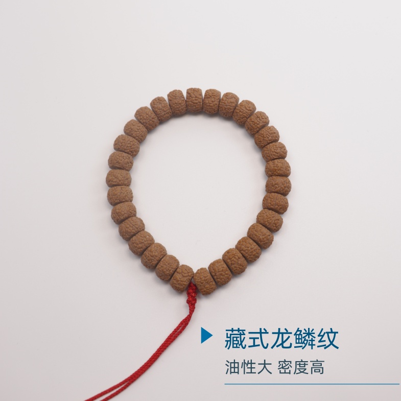 【进阶】藏式龙鳞王W1