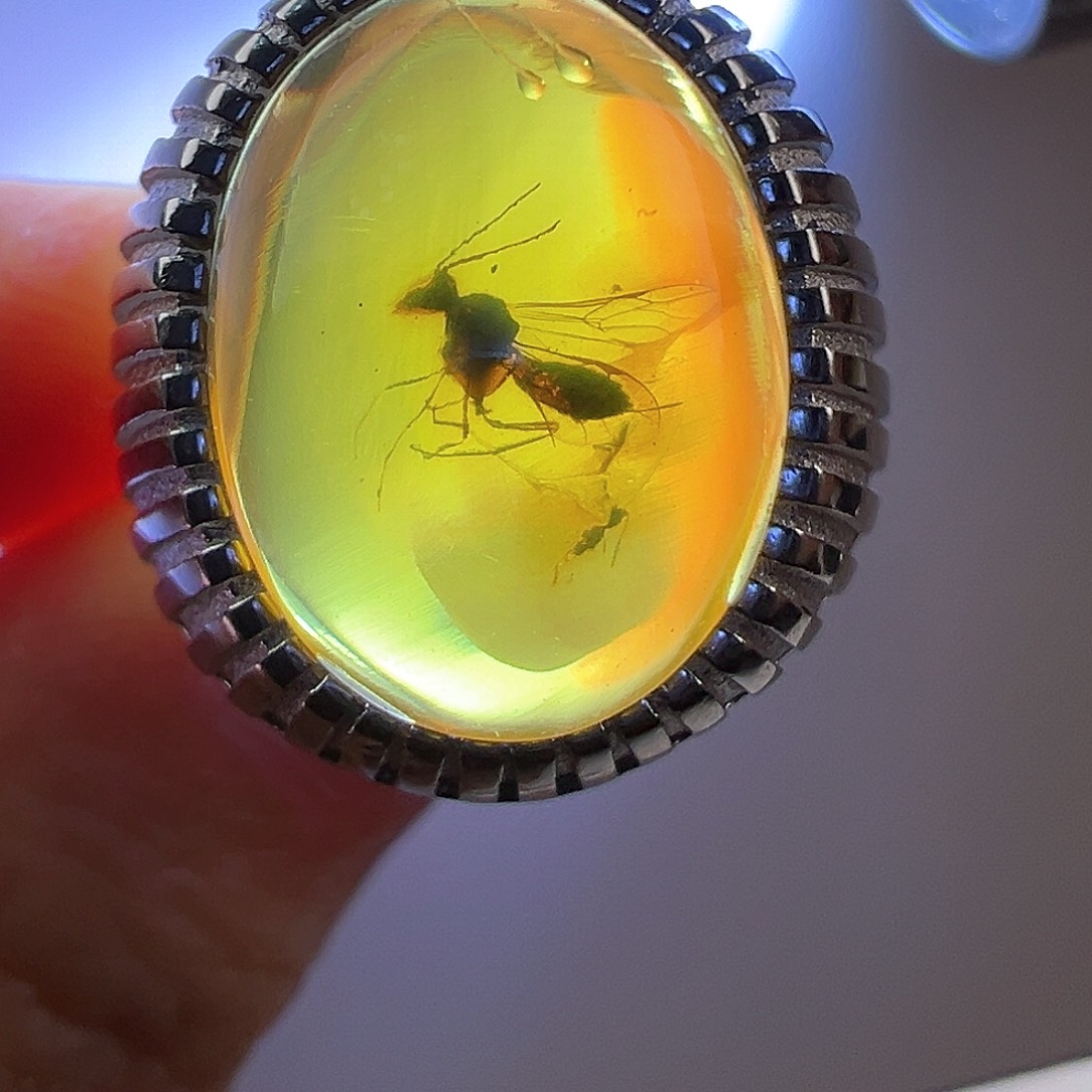 琥珀裸石未镶嵌琥珀虫珀